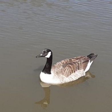 tsa_PhotoclubHomeLearning (14)